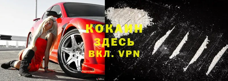 как найти   Суздаль  COCAIN VHQ 